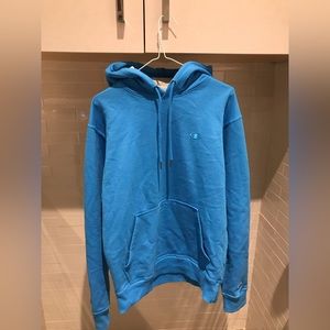 Adult Champion Turquoise Hoodie
